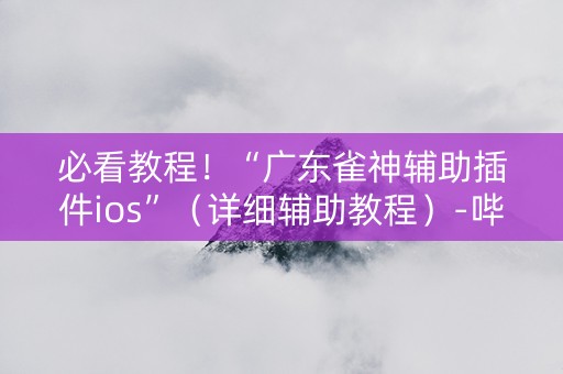 必看教程！“广东雀神辅助插件ios”（详细辅助教程）-哔哩哔哩