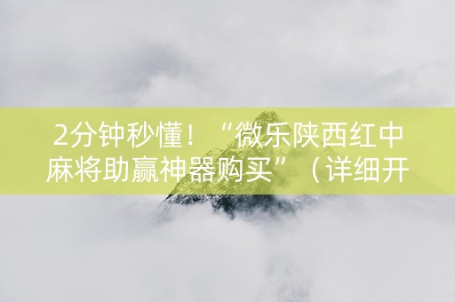 2分钟秒懂！“微乐陕西红中麻将助赢神器购买”（详细开挂教程）-哔哩哔哩