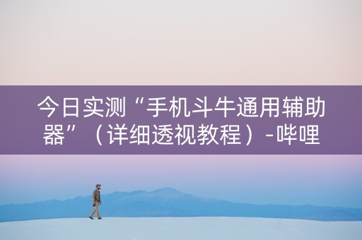 今日实测“手机斗牛通用辅助器”（详细透视教程）-哔哩哔哩