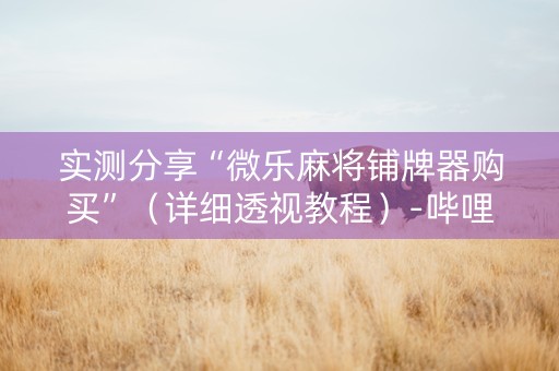 实测分享“微乐麻将铺牌器购买”（详细透视教程）-哔哩哔哩