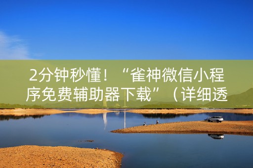 2分钟秒懂！“雀神微信小程序免费辅助器下载”（详细透视教程）-哔哩哔哩