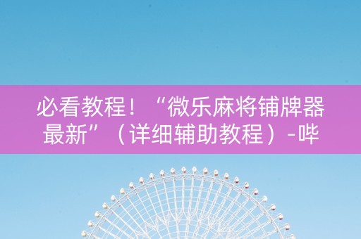 必看教程！“微乐麻将铺牌器最新”（详细辅助教程）-哔哩哔哩