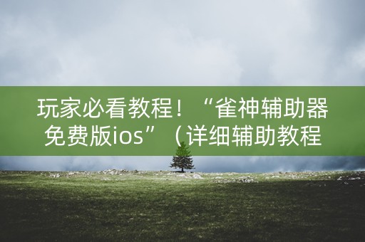 玩家必看教程！“雀神辅助器免费版ios”（详细辅助教程）-哔哩哔哩