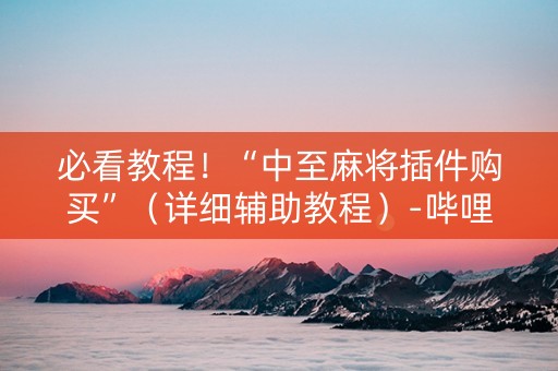 必看教程！“中至麻将插件购买”（详细辅助教程）-哔哩哔哩