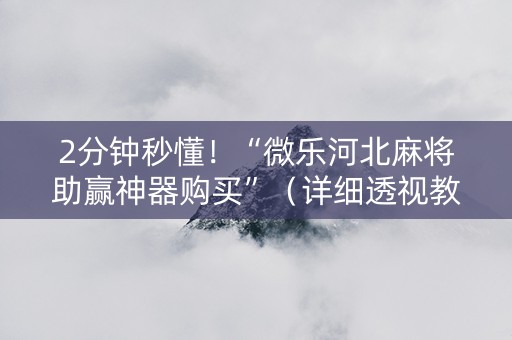 2分钟秒懂！“微乐河北麻将助赢神器购买”（详细透视教程）-哔哩哔哩