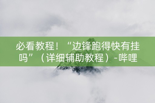 必看教程！“边锋跑得快有挂吗”（详细辅助教程）-哔哩哔哩