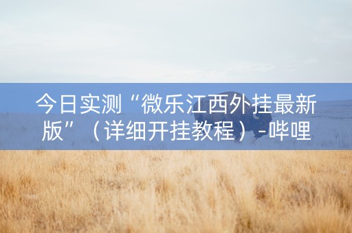 今日实测“微乐江西外挂最新版”（详细开挂教程）-哔哩哔哩