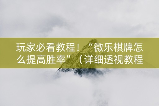 玩家必看教程！“微乐棋牌怎么提高胜率”（详细透视教程）-哔哩哔哩