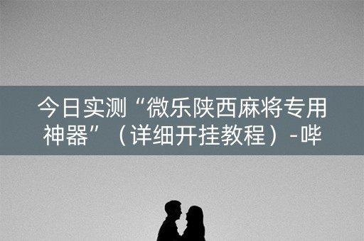 今日实测“微乐陕西麻将专用神器”（详细开挂教程）-哔哩哔哩