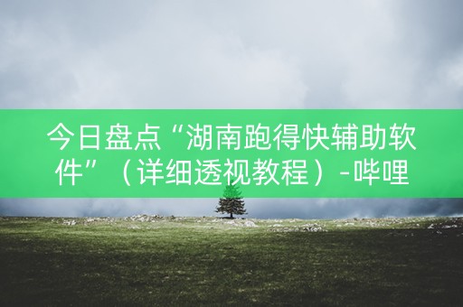 今日盘点“湖南跑得快辅助软件”（详细透视教程）-哔哩哔哩