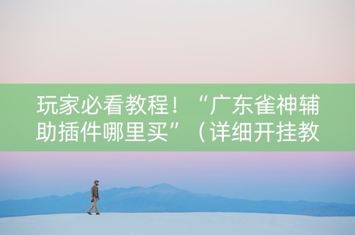 玩家必看教程！“广东雀神辅助插件哪里买”（详细开挂教程）-哔哩哔哩
