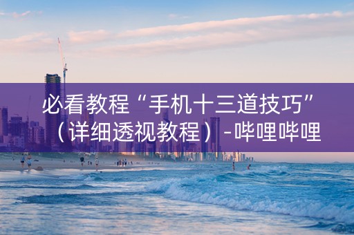 必看教程“手机十三道技巧”（详细透视教程）-哔哩哔哩