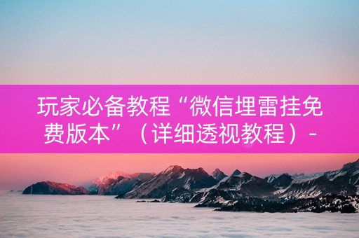 玩家必备教程“微信埋雷挂免费版本”（详细透视教程）-哔哩哔哩