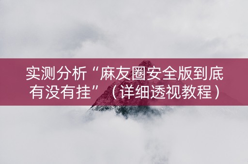 实测分析“麻友圈安全版到底有没有挂”（详细透视教程）-哔哩哔哩