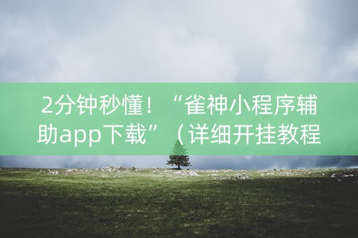 2分钟秒懂！“雀神小程序辅助app下载”（详细开挂教程）-哔哩哔哩