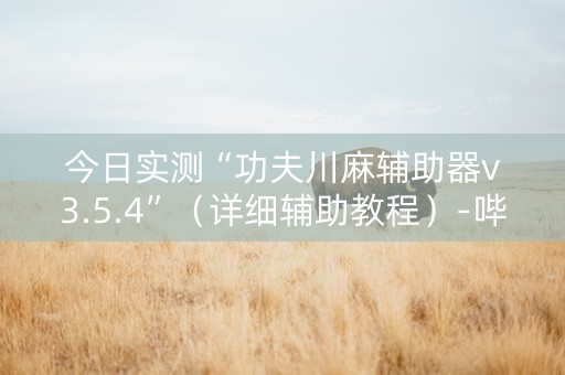 今日实测“功夫川麻辅助器v3.5.4”（详细辅助教程）-哔哩哔哩