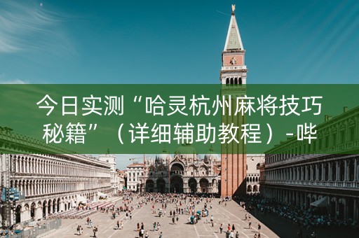 今日实测“哈灵杭州麻将技巧秘籍”（详细辅助教程）-哔哩哔哩