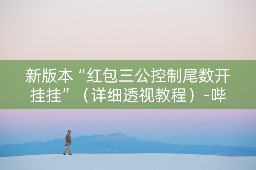 新版本“红包三公控制尾数开挂挂”（详细透视教程）-哔哩哔哩