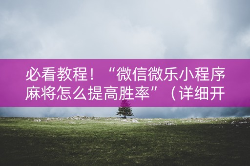必看教程！“微信微乐小程序麻将怎么提高胜率”（详细开挂教程）-哔哩哔哩