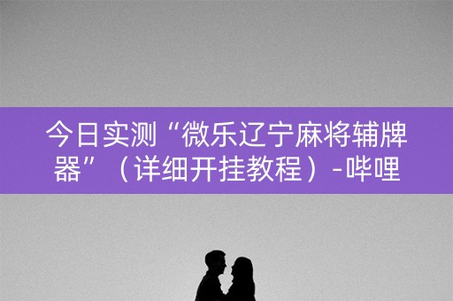 今日实测“微乐辽宁麻将辅牌器”（详细开挂教程）-哔哩哔哩