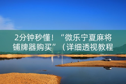 2分钟秒懂！“微乐宁夏麻将铺牌器购买”（详细透视教程）-哔哩哔哩