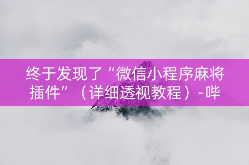 终于发现了“微信小程序麻将插件”（详细透视教程）-哔哩哔哩
