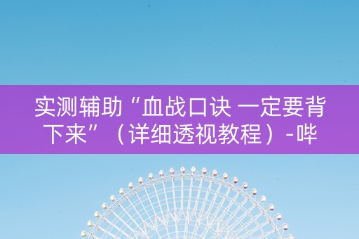 实测辅助“血战口诀 一定要背下来”（详细透视教程）-哔哩哔哩