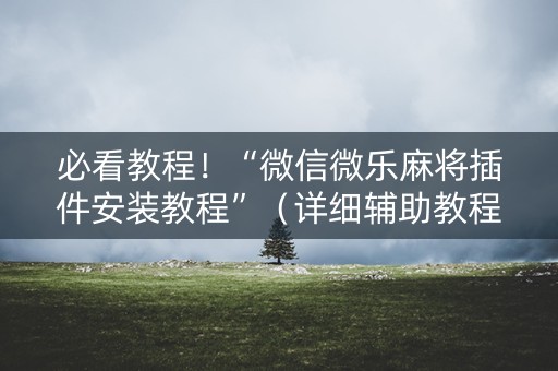 必看教程！“微信微乐麻将插件安装教程”（详细辅助教程）-哔哩哔哩