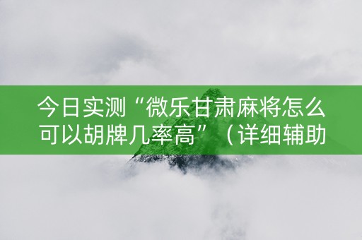 今日实测“微乐甘肃麻将怎么可以胡牌几率高”（详细辅助教程）-哔哩哔哩
