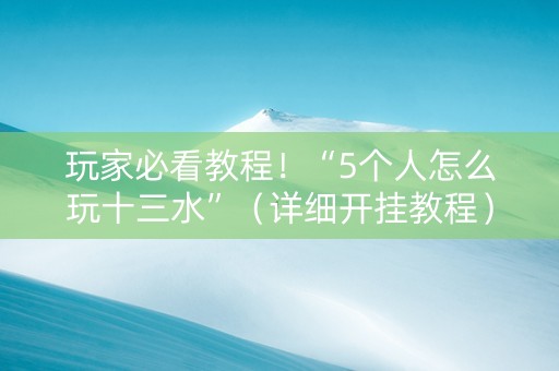 玩家必看教程！“5个人怎么玩十三水”（详细开挂教程）-哔哩哔哩