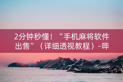 2分钟秒懂！“手机麻将软件出售”（详细透视教程）-哔哩哔哩