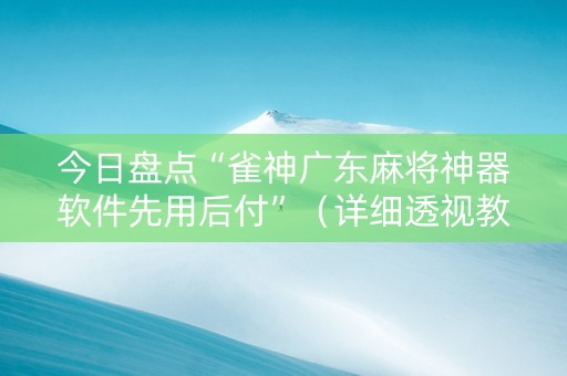 今日盘点“雀神广东麻将神器软件先用后付”（详细透视教程）-哔哩哔哩