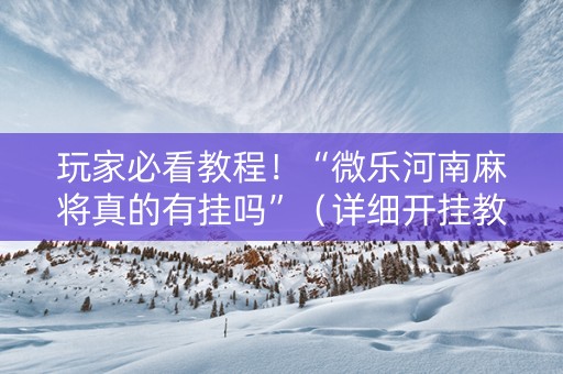 玩家必看教程！“微乐河南麻将真的有挂吗”（详细开挂教程）-哔哩哔哩
