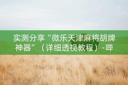 实测分享“微乐天津麻将胡牌神器”（详细透视教程）-哔哩哔哩