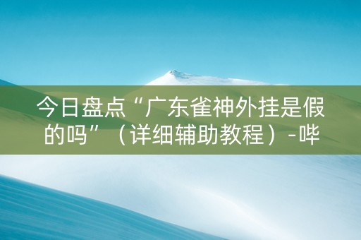 今日盘点“广东雀神外挂是假的吗”（详细辅助教程）-哔哩哔哩