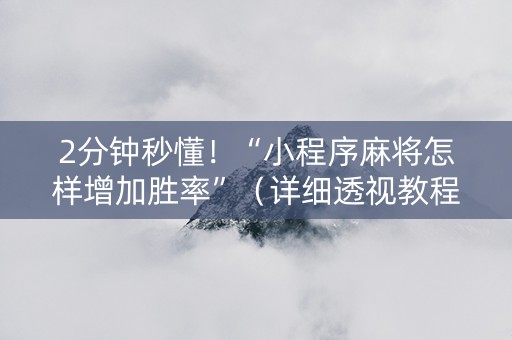 2分钟秒懂！“小程序麻将怎样增加胜率”（详细透视教程）-哔哩哔哩
