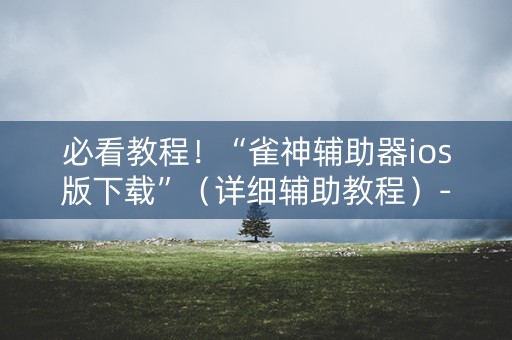 必看教程！“雀神辅助器ios版下载”（详细辅助教程）-哔哩哔哩