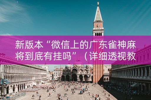 新版本“微信上的广东雀神麻将到底有挂吗”（详细透视教程）-哔哩哔哩