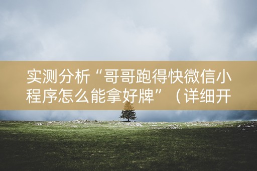 实测分析“哥哥跑得快微信小程序怎么能拿好牌”（详细开挂教程）-哔哩哔哩