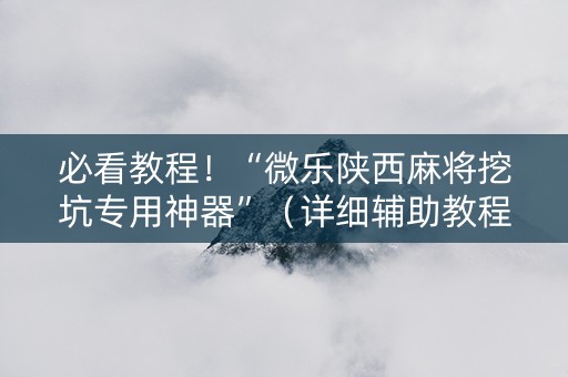 必看教程！“微乐陕西麻将挖坑专用神器”（详细辅助教程）-哔哩哔哩
