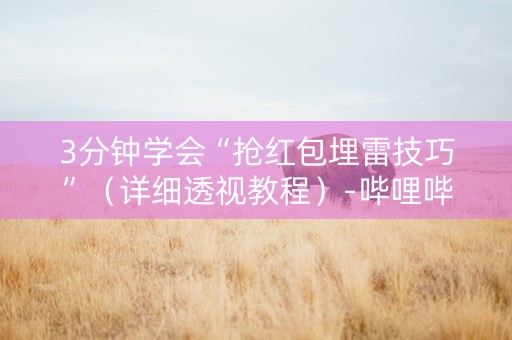 3分钟学会“抢红包埋雷技巧”（详细透视教程）-哔哩哔哩