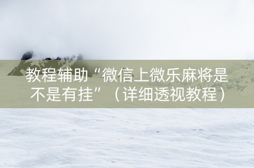 教程辅助“微信上微乐麻将是不是有挂”（详细透视教程）-哔哩哔哩