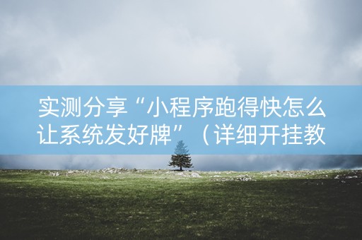 实测分享“小程序跑得快怎么让系统发好牌”（详细开挂教程）-哔哩哔哩