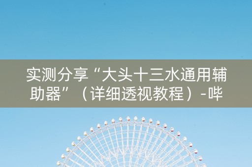 实测分享“大头十三水通用辅助器”（详细透视教程）-哔哩哔哩