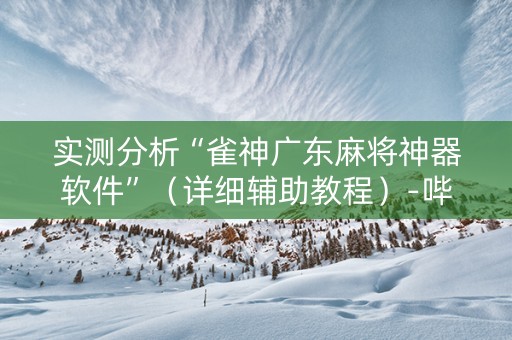 实测分析“雀神广东麻将神器软件”（详细辅助教程）-哔哩哔哩