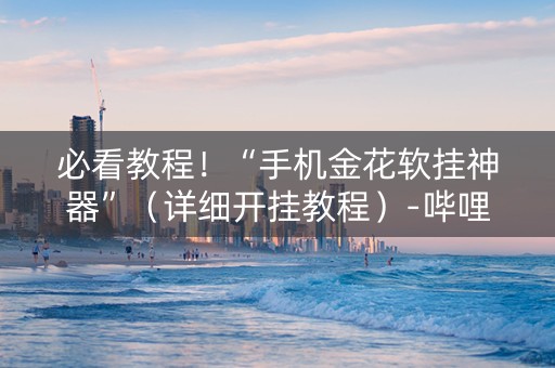 必看教程！“手机金花软挂神器”（详细开挂教程）-哔哩哔哩