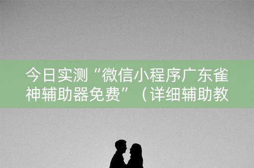 今日实测“微信小程序广东雀神辅助器免费”（详细辅助教程）-哔哩哔哩