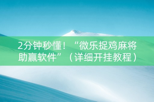 2分钟秒懂！“微乐捉鸡麻将助赢软件”（详细开挂教程）-哔哩哔哩