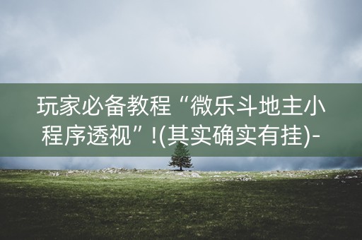 玩家必备教程“微乐斗地主小程序透视”!(其实确实有挂)-知乎