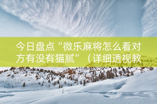 今日盘点“微乐麻将怎么看对方有没有猫腻”（详细透视教程）-哔哩哔哩
